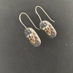 Elegant Silver and Gold Earrings